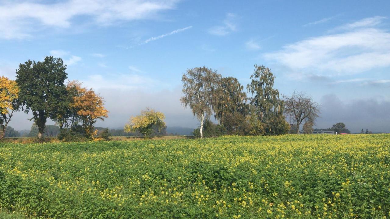 Ferienwohnung Im Herzen Der Holledau Poernbach Bagian luar foto